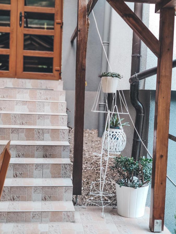 Villa-Apartments Bognar Velika Εξωτερικό φωτογραφία
