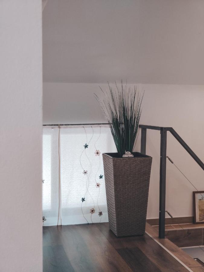 Villa-Apartments Bognar Velika Εξωτερικό φωτογραφία